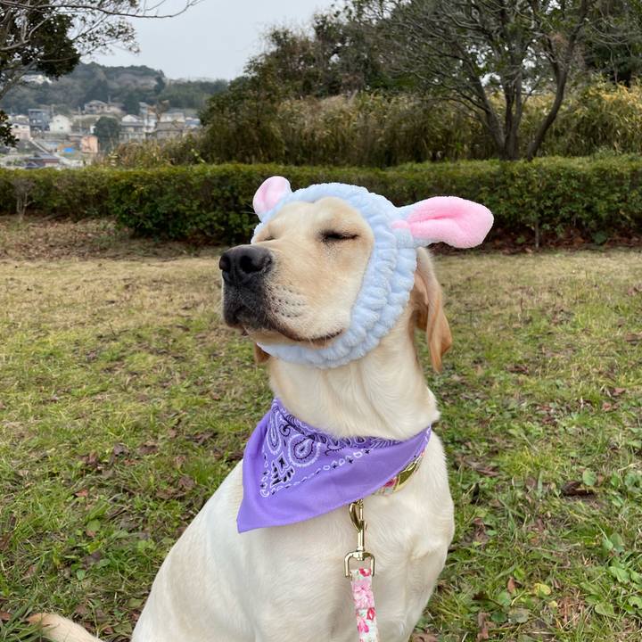 E9deb353 2336 40d0 b513 9c7a75a649c5 1641719696854