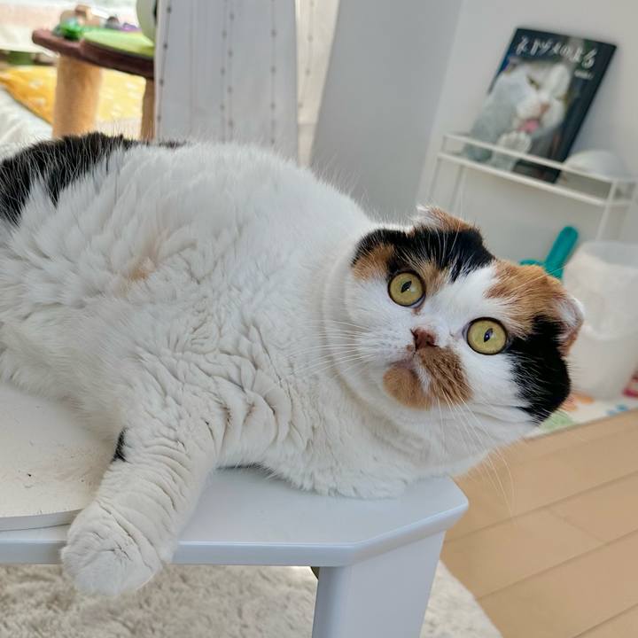 E9decb10 d751 4323 ab96 54cb2f706b77 1678857907921