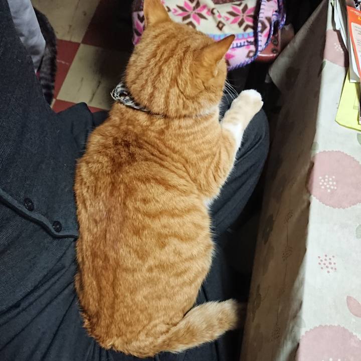 E9def6b0 45dc 4a6a 99e9 c9e7be86cf61 1576141183341