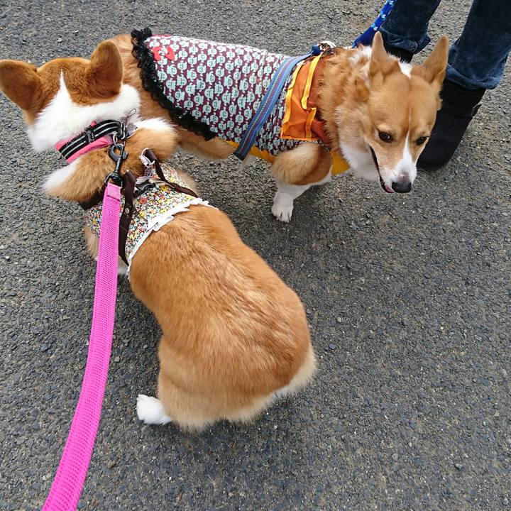 E9defe5a 1336 4068 938d 41bc6f532725 1540031361671