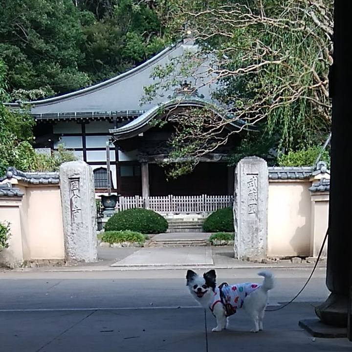 E9df2265 5c11 459e ae15 9017bb43b928 1538918994907