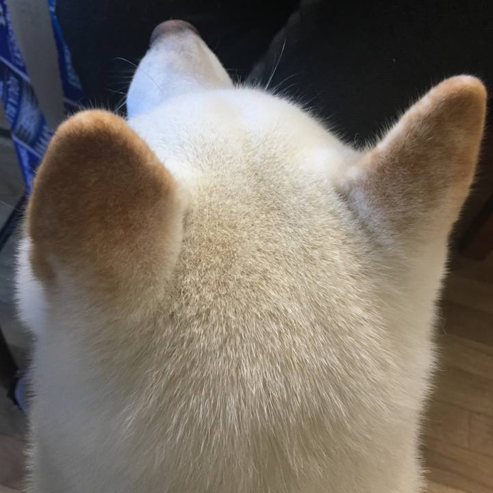 E9df3990 709c 4f9f b8ec 0f945bc5ddb0 1538954405160