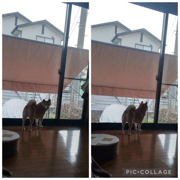 E9df3c13 fe7b 4a38 9285 59d17b610311 1770111616300