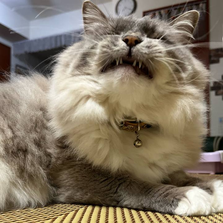 E9df6b1a a539 4dcb 9e2c c1d5ce02af84 1653488773267