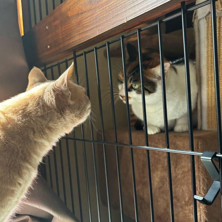 E9df78cf ba81 4e40 b645 a2123254d27d 1727138324119