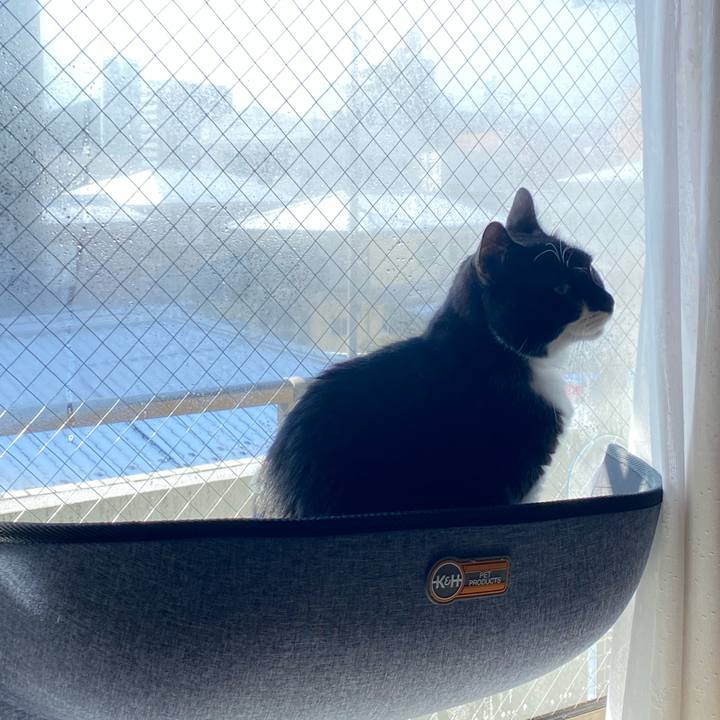 E9df7be8 cbf0 4dbb b123 260736282a31 1610091893465