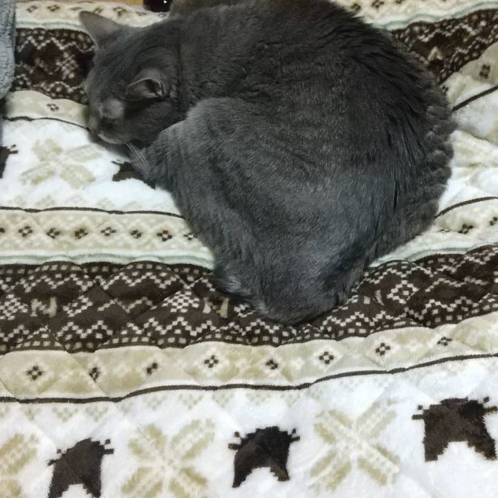 E9df8024 1de3 40d8 9f62 feaa85889c54 1606651525157