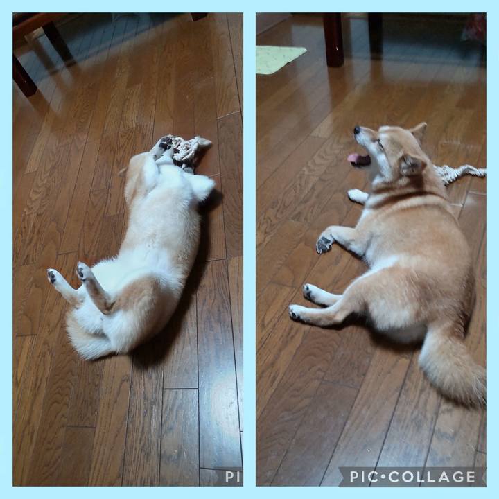 E9dfb08f 17c1 48b2 86d0 8a79541434c6 1754652213462