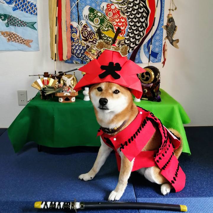 E9dfd983 e554 414c 82b3 1849d45599ed 1620019773892