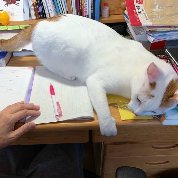 E9dfdd54 2582 4057 8a66 af46efe1b599 1572830904330