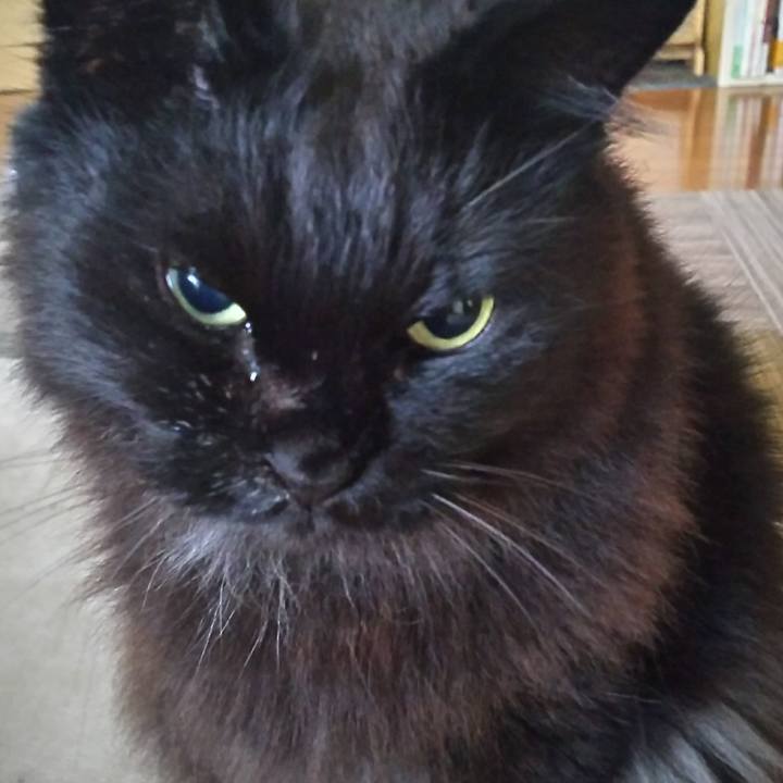 E9dff355 9711 43bb 9306 597233997159 1552258947295