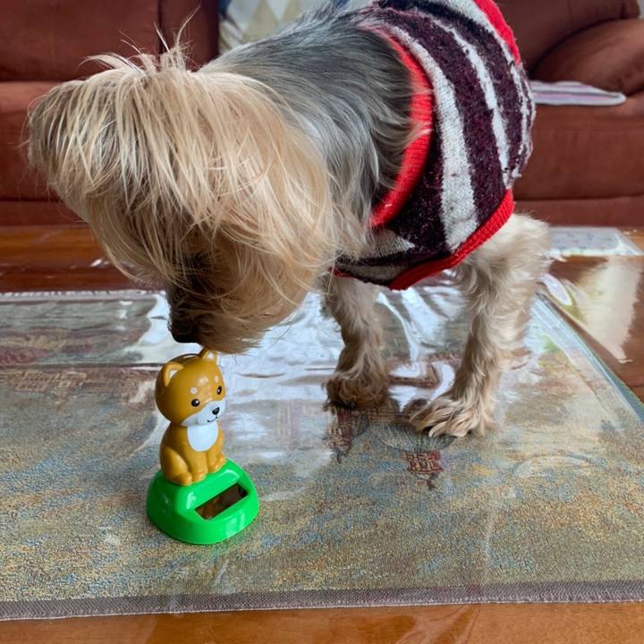 E9dffb4e 4e5c 43fa b1b9 aa1fb3763eef 1612084896954