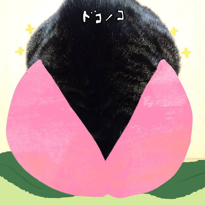 E9e0183c 4851 47a2 93d0 d887dd16cc92 1771979688648