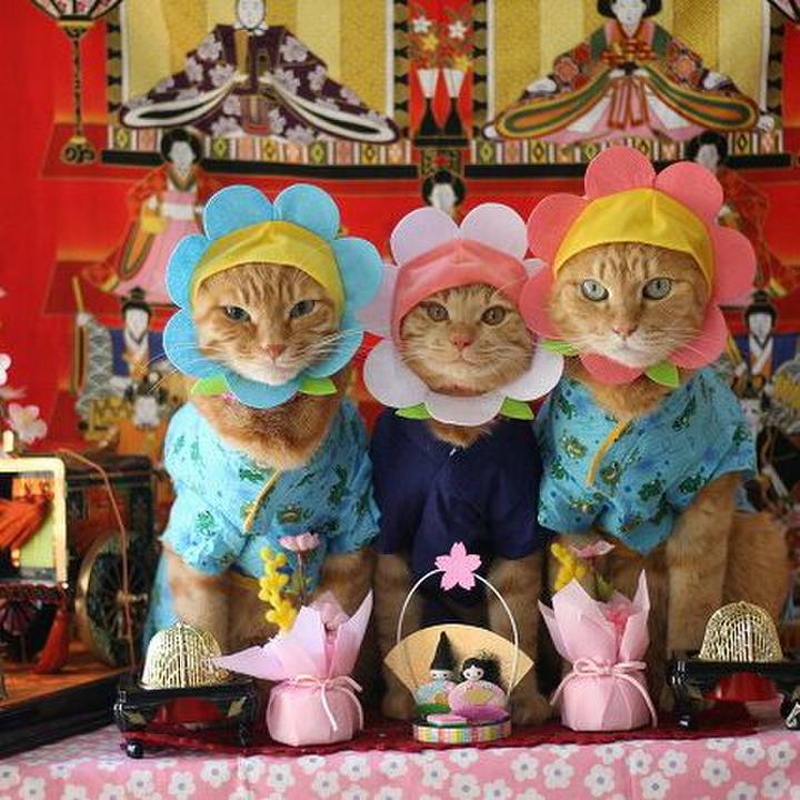 E9e01ab2 b311 46e6 a6a7 266002176df1 1551582155780