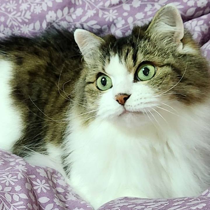 E9e02b7b fef6 4163 b7bc 900bcb2338bb 1765315550541