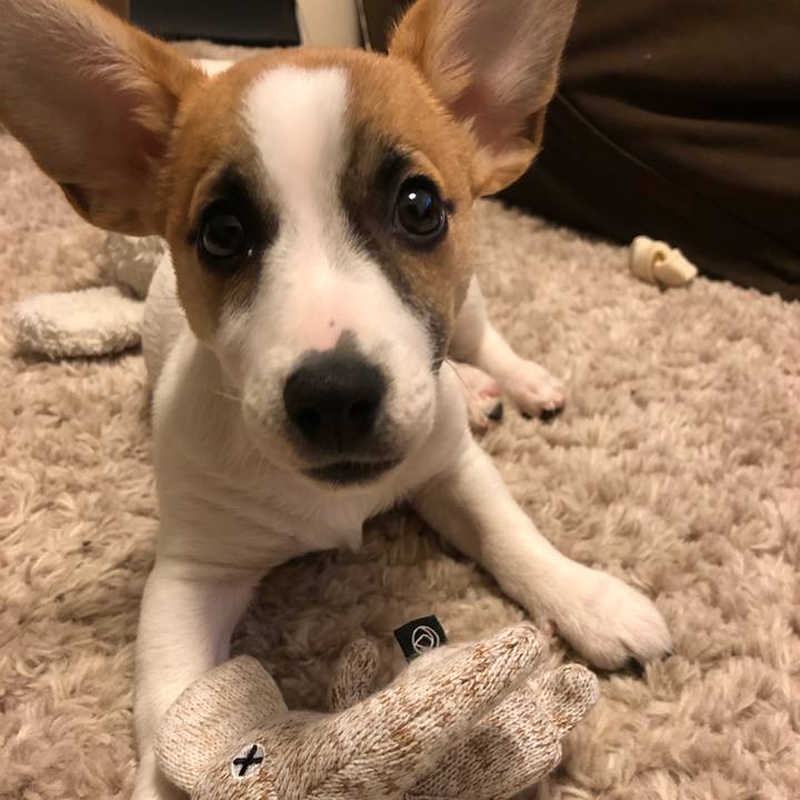 E9e04c00 dee1 46e3 b2fe 7c58c06c4e6a 1547548422401