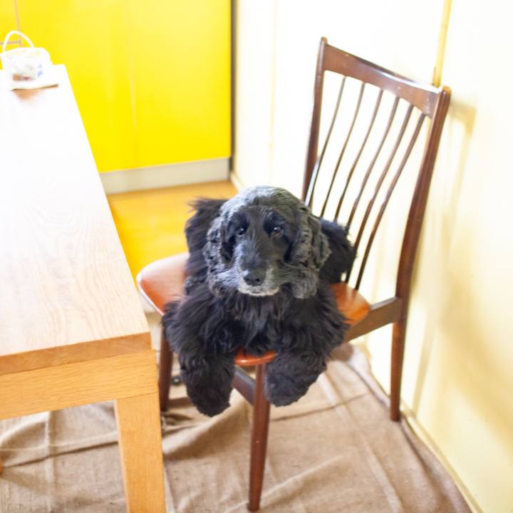 E9e04e6a de37 4d91 a174 e6639105cd76 1550462392415