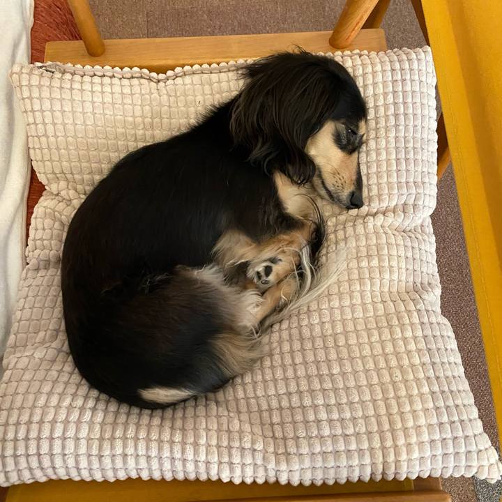 E9e05905 0293 45fb 8704 3de8a8f351f8 1743728616855