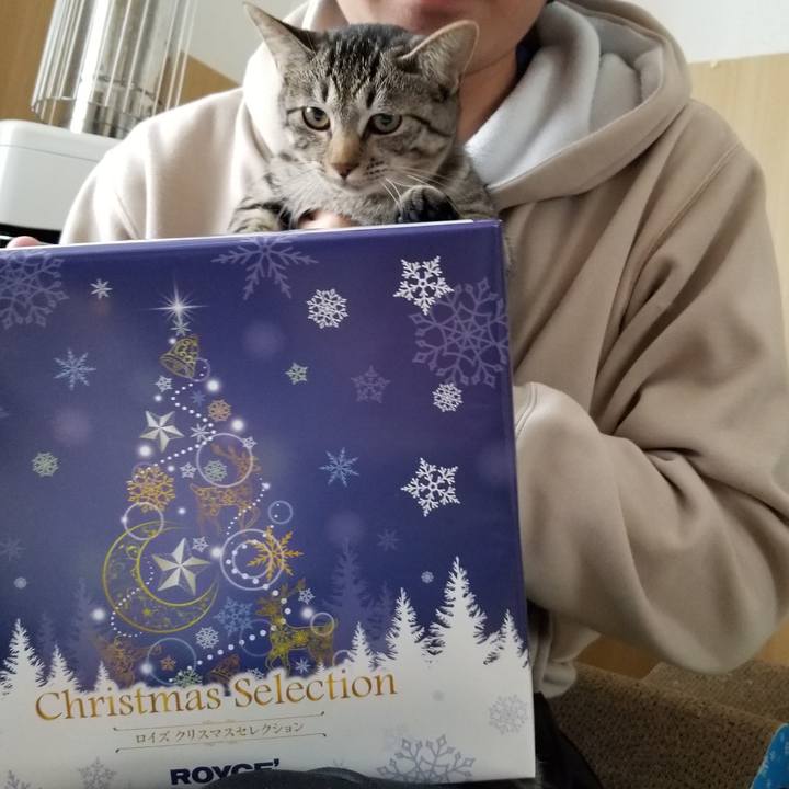 E9e084ba 803f 40ee 9529 51cf1b5da8e1 1671804565237