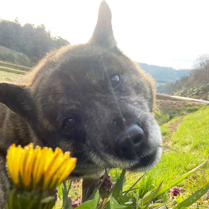 E9e0b3b3 c2a5 481e a993 831b453b1762 1585521708955