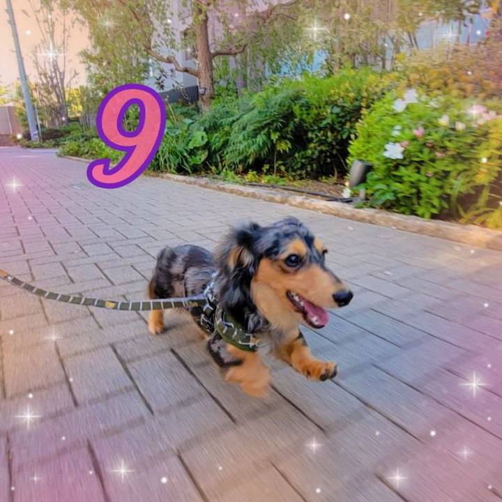 E9e0fd81 139c 4330 961a d69b3d3208f8 1713262139149