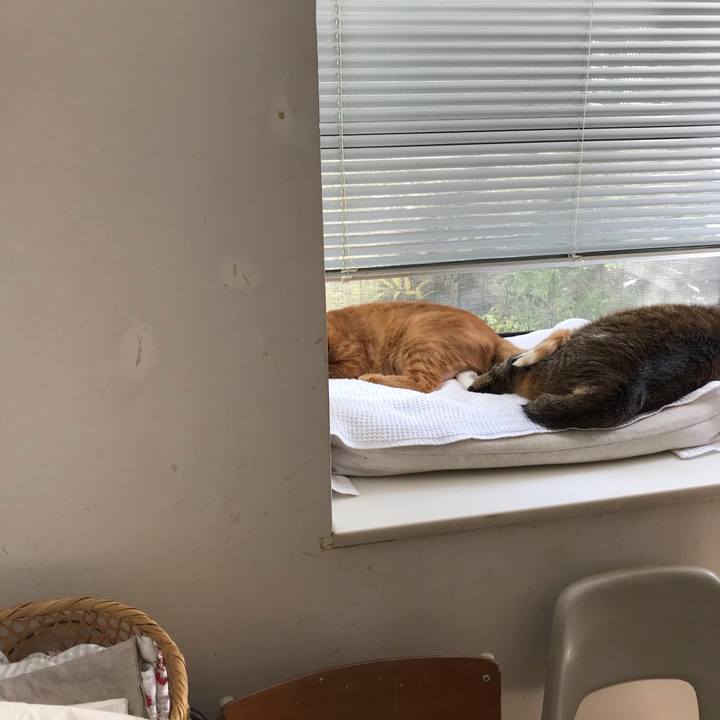 E9e13b69 f489 404d bf22 2d8c79bafc50 1568693428378