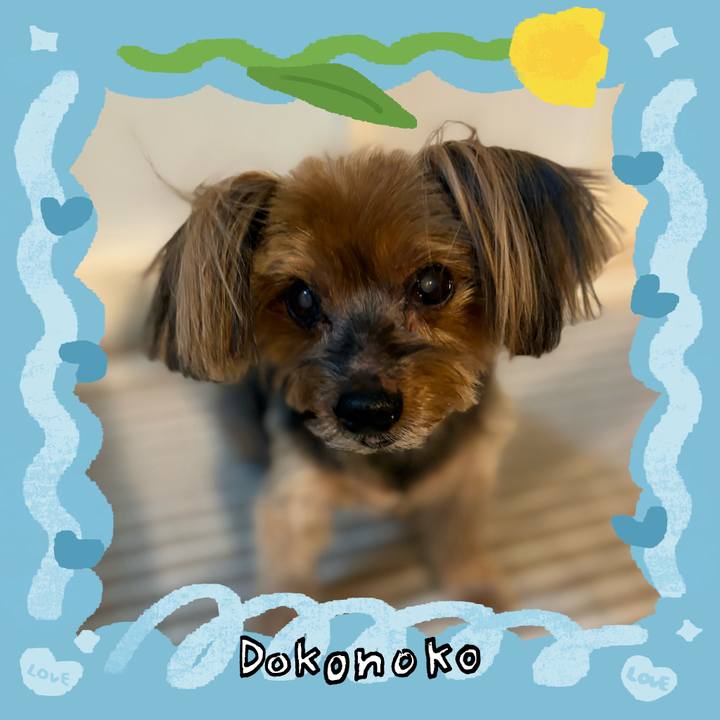 E9e142f3 050d 439d a31e 0ae299577d15 1771839065015