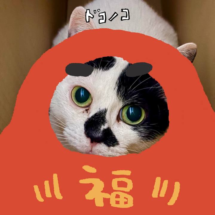 E9e15652 fe02 483e 87f8 4196f89c75a5 1771837046150
