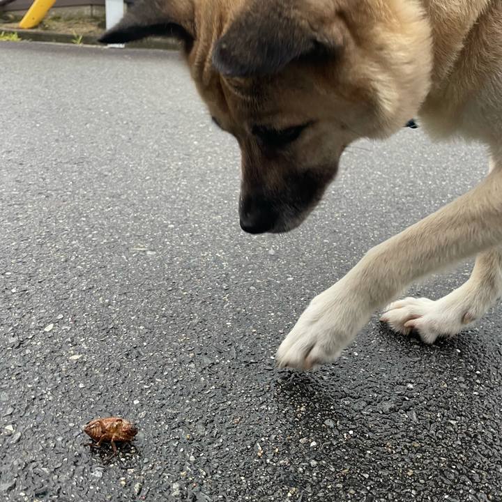 E9e1ab74 bf32 492f afc7 52ce5117fec9 1657894180676