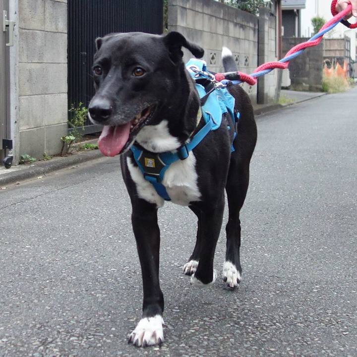 E9e1b668 9cff 4254 a366 9e90e79c160c 1633999792717