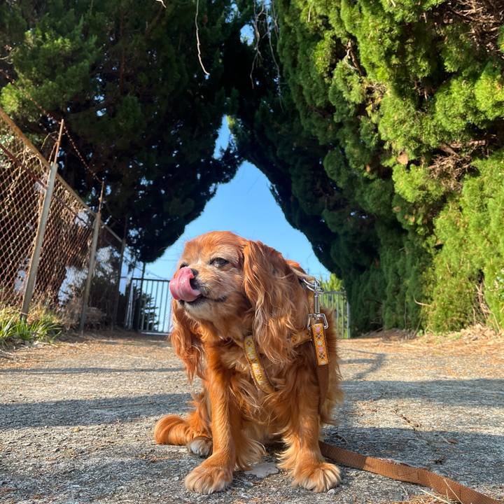 E9e1fdc4 0d52 47e3 aa60 6d7d48ea4f22 1774316403266