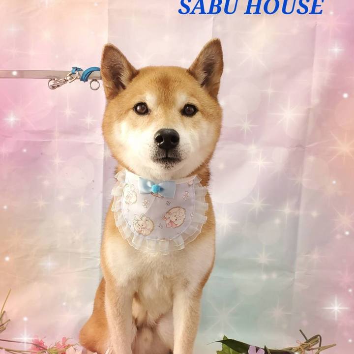 E9e2157f cc03 4136 98a2 82798d9aed75 1707837931532