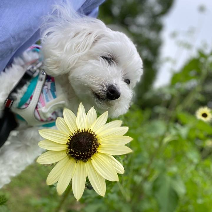 E9e26c25 1750 486d 94a8 50c0849cf88c 1655345532817