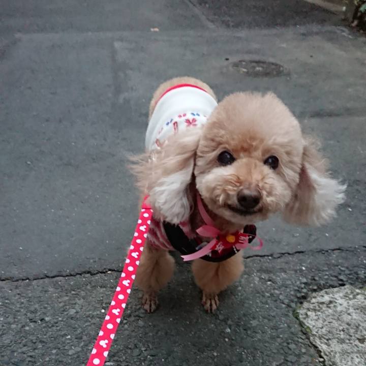 E9e28de5 8c88 486b b03c a9af91290d47 1579940313404