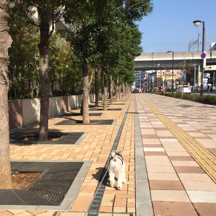 E9e28ff0 56cf 4269 b8a0 ff10e69878b7 1540625533720