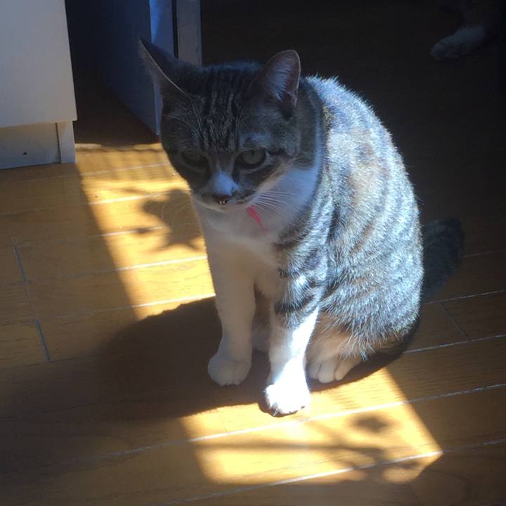 E9e29e14 deaa 4629 a777 23445e1e2c92 1554520617933