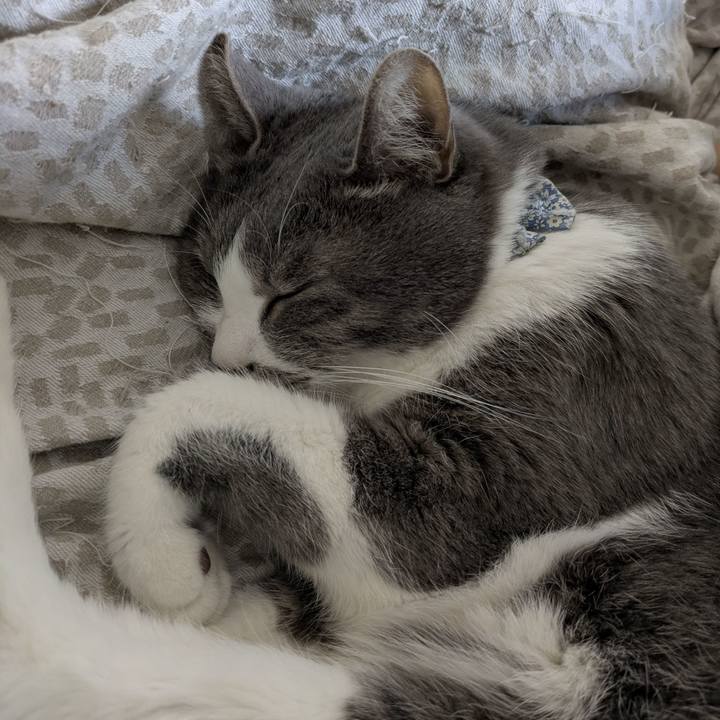 E9e29e8e 2a9c 40a6 8d69 65df7b48a20c 1768792169966