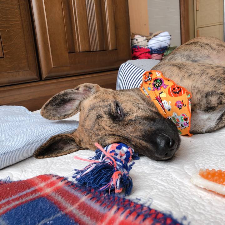 E9e2d5b1 c581 422b af6e eb788ba9cca7 1572411980122