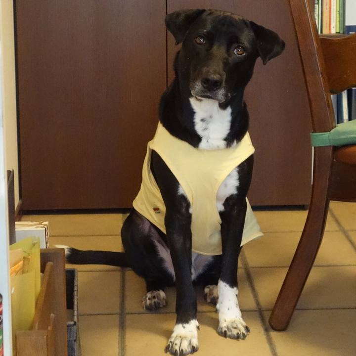 E9e2e41a c338 436a bd48 5b5c2369de2f 1620469970899