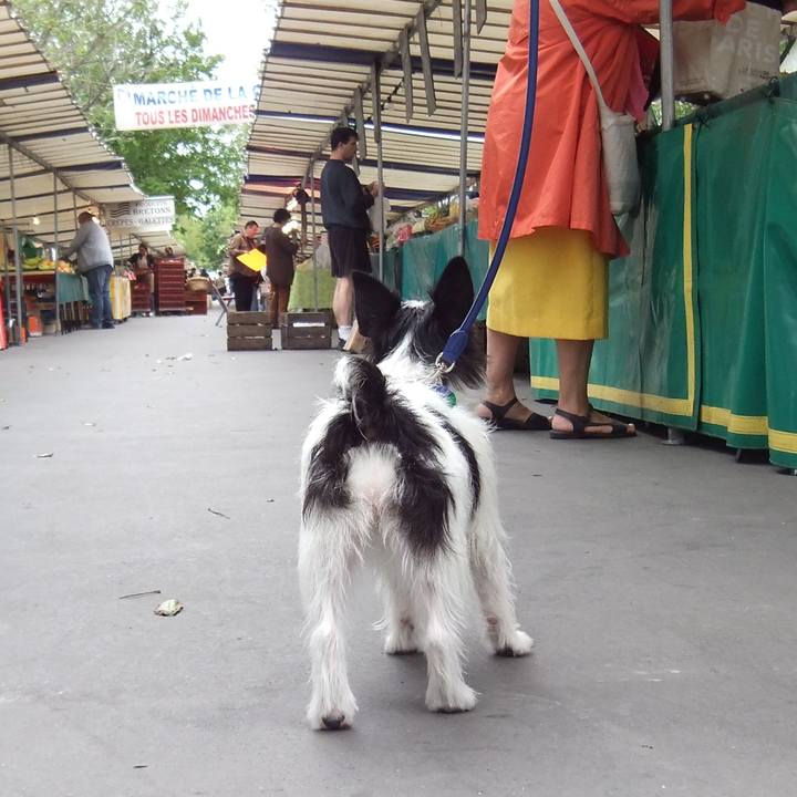 E9e2e473 ee8c 4899 a3d0 b71dfdaa9c32 1542197507462