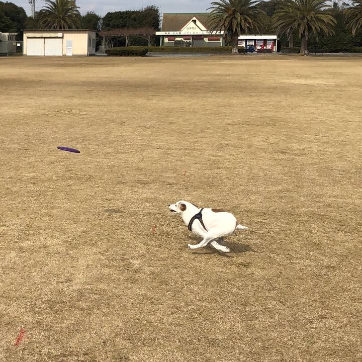 E9e2f432 8bff 423e a06d fdcf8f6381f6 1517642449716