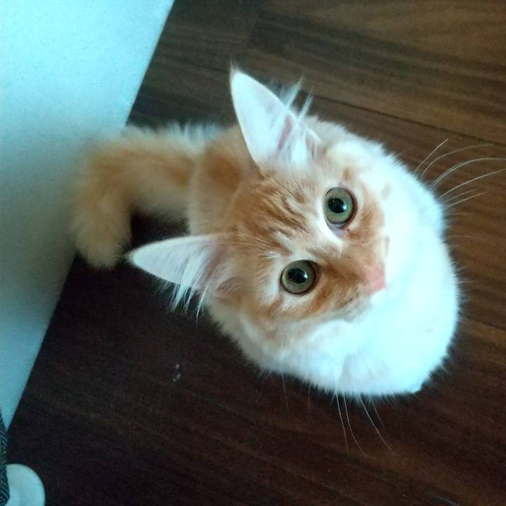 E9e30b77 4287 4372 b72b d7d1324f290e 1615757955382