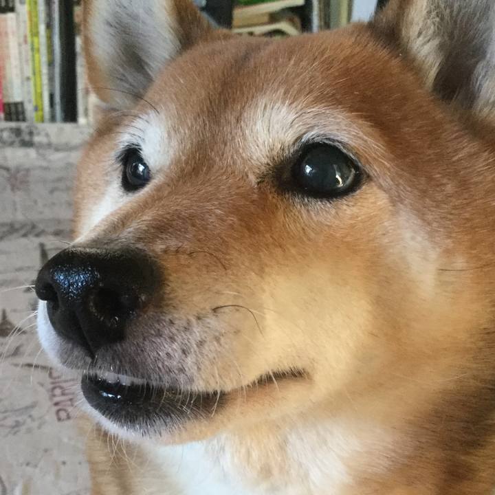 E9e329fc 4e82 4480 8621 3f8640889e26 1580705567280