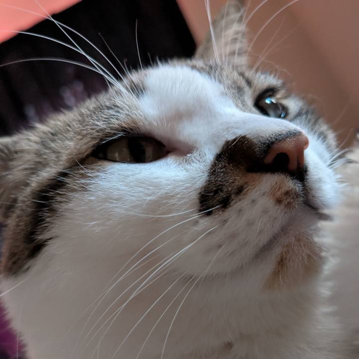 E9e33b2e 210b 429e 94c3 69785851baca 1737871554925