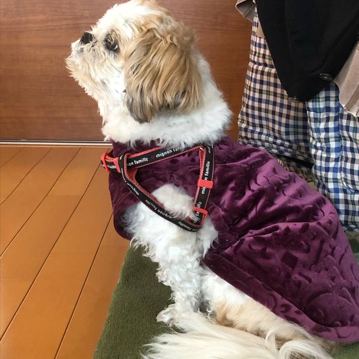 E9e34b58 d2e9 48cf be4e 45d96cd19600 1615931576978