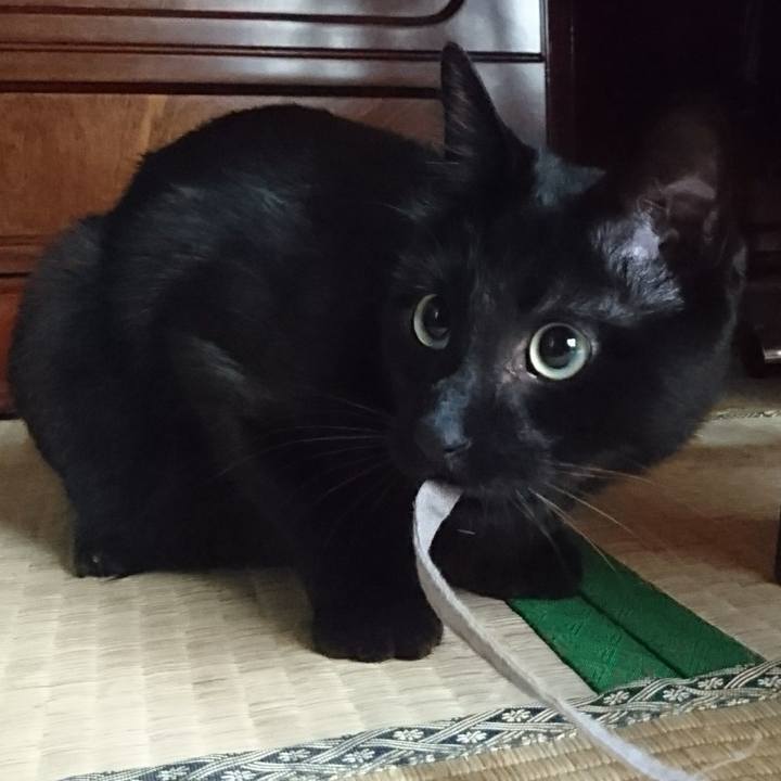 E9e369ae 43e8 41d6 befc c572b65a8b0b 1525229410205