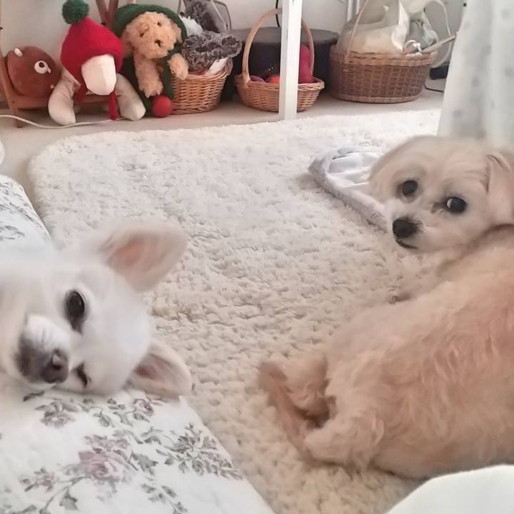 E9e389c5 3b97 45d3 9a3d 3c9cfbdc5490 1582528659053