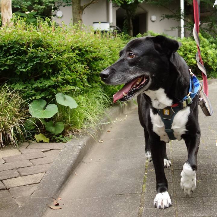 E9e3927a 74b8 4a67 a371 40b8acde3d14 1718238916100