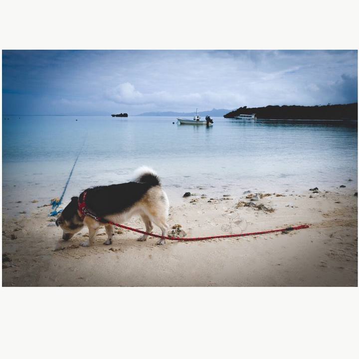 E9e3ac5b c64f 4f38 b834 fbb899f49495 1577809170707