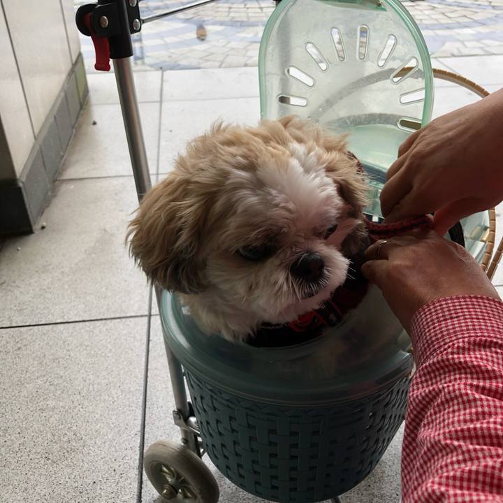 E9e3eb2a d4ab 4966 888d 9483ab03b5a5 1571366262488